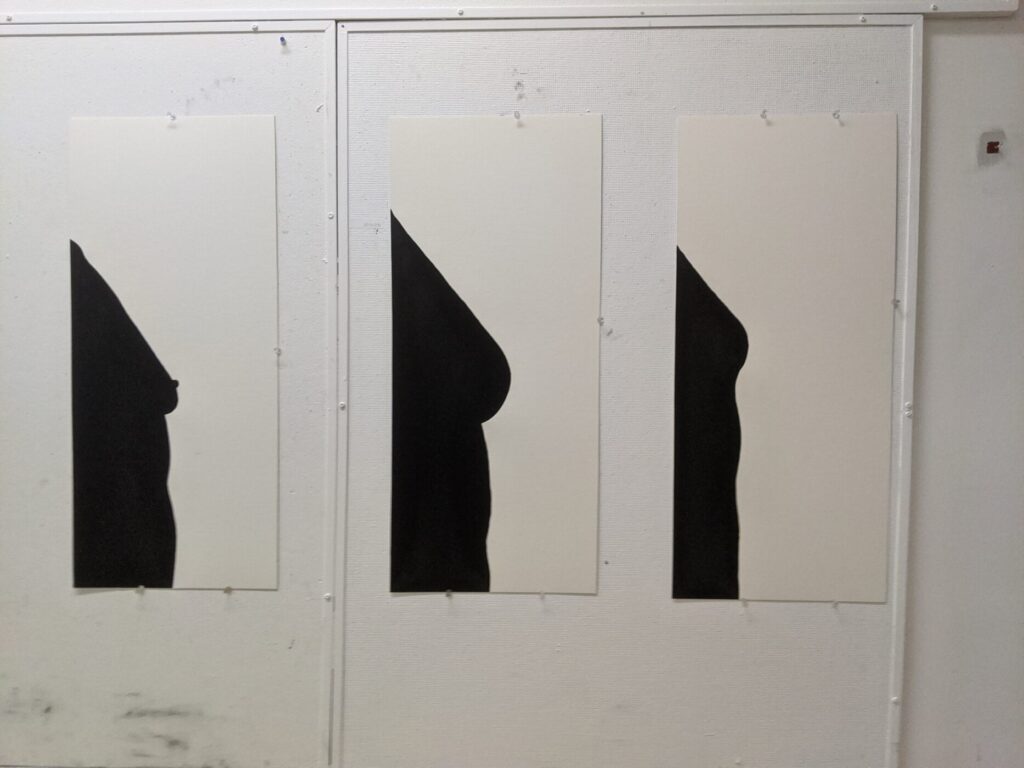 An image of 3 silhouettes of bodies with breasts, demonstrating a range of sizes and shapes.